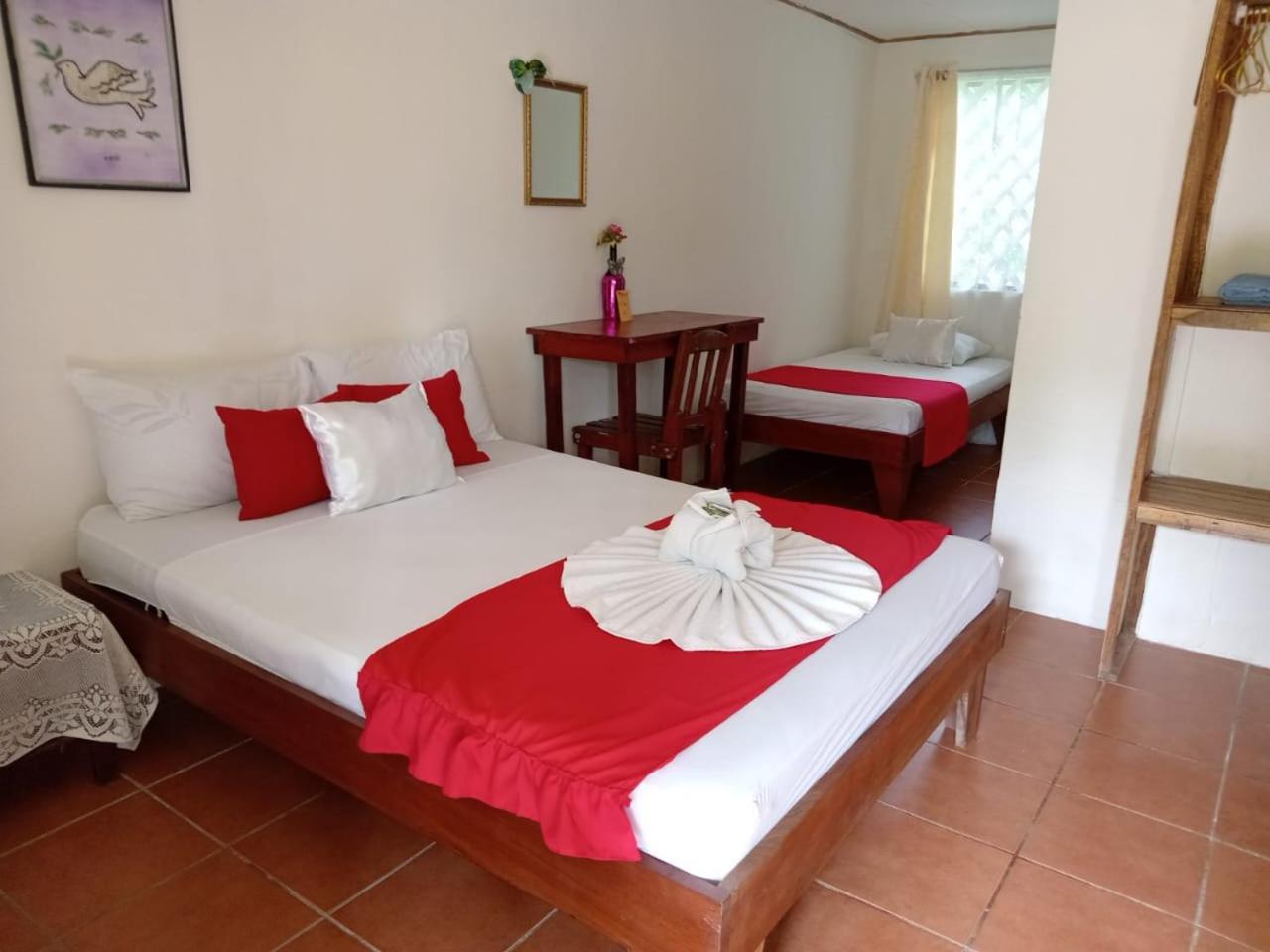 All Rankins Eco-Lodge Tortuguero Quarto foto